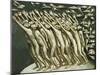 All the People - Pointing at the Black Cloud, 1982-Evelyn Williams-Mounted Giclee Print