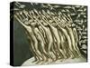 All the People - Pointing at the Black Cloud, 1982-Evelyn Williams-Stretched Canvas