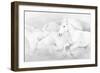 All the White Horses-PHBurchett-Framed Photographic Print