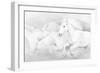 All the White Horses-PHBurchett-Framed Photographic Print