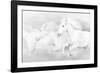 All the White Horses-PHBurchett-Framed Photographic Print