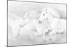 All the White Horses-PHBurchett-Mounted Photographic Print