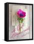 All things are Possible-Sarah Gardner-Framed Stretched Canvas