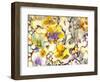 All Things Bright and Beautiful-Neela Pushparaj-Framed Photographic Print