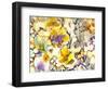 All Things Bright and Beautiful-Neela Pushparaj-Framed Photographic Print