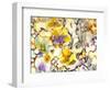 All Things Bright and Beautiful-Neela Pushparaj-Framed Photographic Print