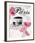 All Things Paris 4-Sheldon Lewis-Framed Art Print