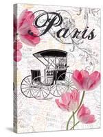 All Things Paris 4-Sheldon Lewis-Stretched Canvas