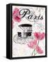 All Things Paris 4-Sheldon Lewis-Framed Stretched Canvas