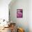 All Things Through Christ (pink)-null-Framed Stretched Canvas displayed on a wall