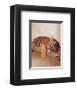 All Tiger-ed Out-Rachael Hale-Framed Art Print