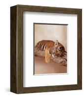 All Tiger-ed Out-Rachael Hale-Framed Art Print