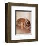 All Tiger-ed Out-Rachael Hale-Framed Art Print