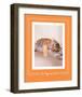 All Tiger-Ed Out-Rachael Hale-Framed Premium Giclee Print