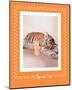 All Tiger-Ed Out-Rachael Hale-Mounted Premium Giclee Print