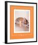 All Tiger-Ed Out-Rachael Hale-Framed Premium Giclee Print