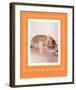All Tiger-Ed Out-Rachael Hale-Framed Premium Giclee Print