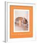 All Tiger-Ed Out-Rachael Hale-Framed Premium Giclee Print