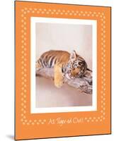 All Tiger-Ed Out-Rachael Hale-Mounted Premium Giclee Print