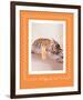 All Tiger-Ed Out-Rachael Hale-Framed Premium Giclee Print