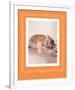 All Tiger-Ed Out-Rachael Hale-Framed Premium Giclee Print