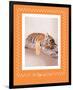 All Tiger-Ed Out-Rachael Hale-Framed Premium Giclee Print