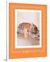 All Tiger-Ed Out-Rachael Hale-Framed Premium Giclee Print