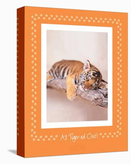 All Tiger-Ed Out-Rachael Hale-Stretched Canvas