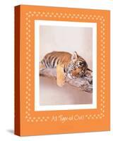 All Tiger-Ed Out-Rachael Hale-Stretched Canvas