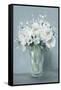 All White Blooms-Carol Robinson-Framed Stretched Canvas