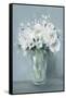 All White Blooms-Carol Robinson-Framed Stretched Canvas
