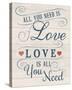 All You Need is Love-Tom Frazier-Stretched Canvas