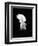 Alla Nazimova (1879-1945)-null-Framed Premium Giclee Print