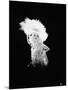 Alla Nazimova (1879-1945)-null-Mounted Giclee Print