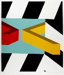 Squared Star-Allan D'Arcangelo-Premium Edition