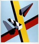 Reflection-Allan D'Arcangelo-Premium Edition