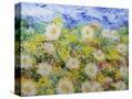 Stretched Canvas