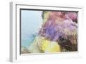 White Frame