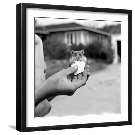 Photographic Print, , large
