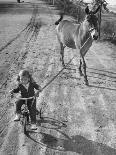 Little Girl Riding Her Tricycle, Leading Francis the Mule-Allan Grant-Photographic Print