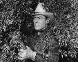 Laminate