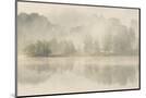 Wood Mount