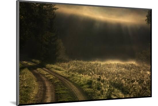 Photographic Print, , large