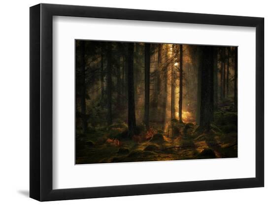 Premium Photographic Print, , large