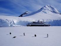 Weddell Sea, Riiser-Larsen Ice Shelf, Emperor Penguins and Chick, Antarctica-Allan White-Photographic Print