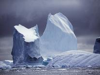 Weddell Sea, Riiser-Larsen Ice Shelf, Emperor Penguins and Chick, Antarctica-Allan White-Photographic Print