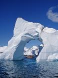 Antarctic Peninsula, Port Lockroy, Gentoo Penguins and Cruise Ship Clipper Adventurer, Antarctica-Allan White-Photographic Print