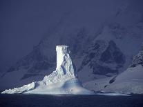 Weddell Sea, Riiser-Larsen Ice Shelf, Emperor Penguins and Chick, Antarctica-Allan White-Framed Photographic Print