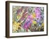 Allans Garden-Sharon Pitts-Framed Giclee Print