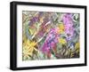 Allans Garden-Sharon Pitts-Framed Giclee Print